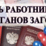 С Днём работника органов ЗАГС! - Администрация Советского района