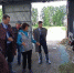 В телячьей деревне - Администрация Советского района