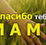 «Поздравление маме!» - Районный Дом народного творчества