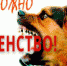 КОГБУ «Советская межрайСББЖ» информирует - Администрация Советского района