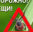 Памятка для населения  по профилактике клещевого энцефалита и  болезни Лайма - Администрация Советского района