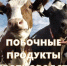 Внимание, актуально: побочные продукты животноводства - Администрация Советского района