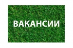 Вакансии