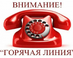 О проведении горячей линии