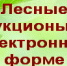 Информация  о проведении аукционов в электронном виде на право заключения договора аренды лесного участка, находящегося в государственной собственности - Администрация Советского района