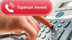 О проведении "горячей линии"