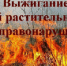 Памятка о соблюдении мер пожарной безопасности в пожароопасный период - Администрация Советского района