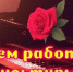 Поздравление главы Советского района В.П. Ошуева С Днем работника культуры - Администрация Советского района
