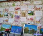 Лесниковский СДК и Борковский СК